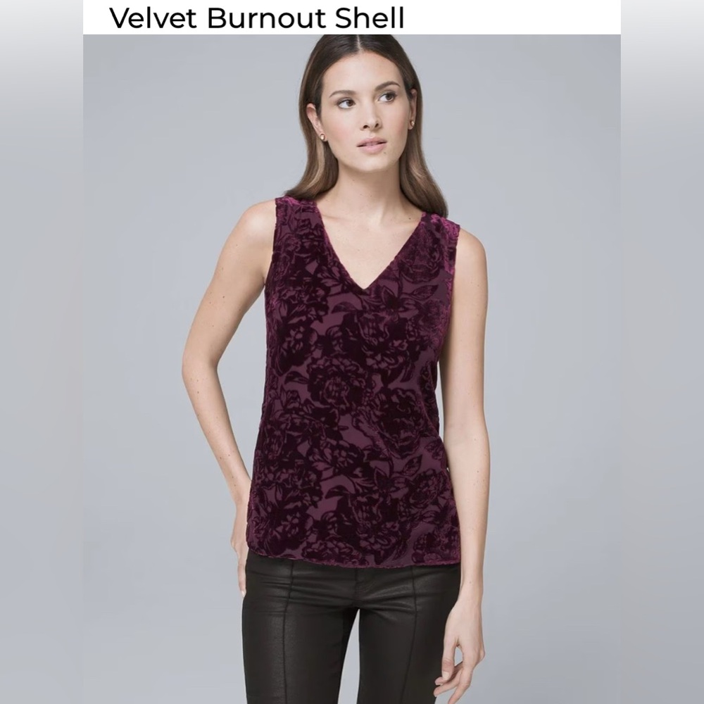 White House Black Market Velvet Shell -Soft Plum 
Holiday Perfect 🌲🥳🎉